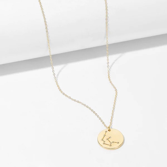 Aquarius Astrology Pendant Necklace - Picture 2 of 5